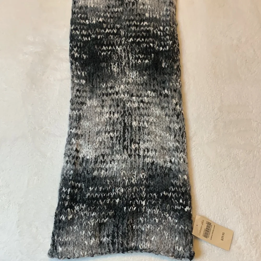 Coldwater Creek Ombre Infinity Scarf